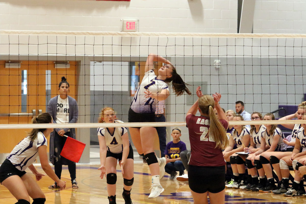 Hampton VB Tri (3).JPG